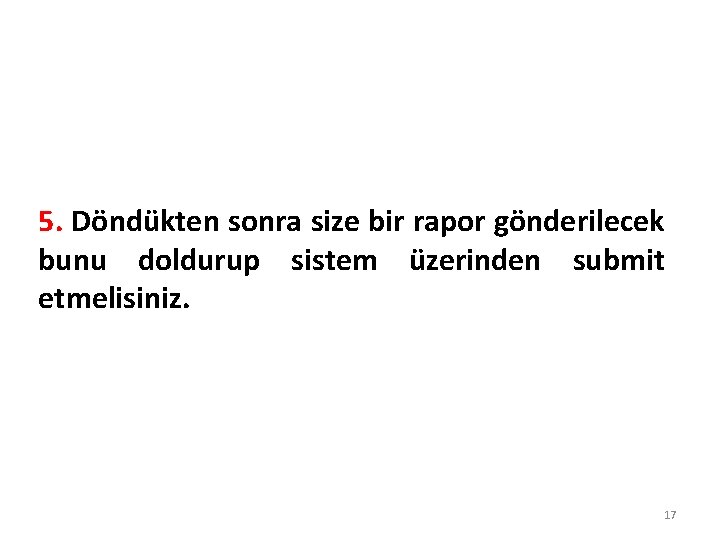 5. Döndükten sonra size bir rapor gönderilecek bunu doldurup sistem üzerinden submit etmelisiniz. 17