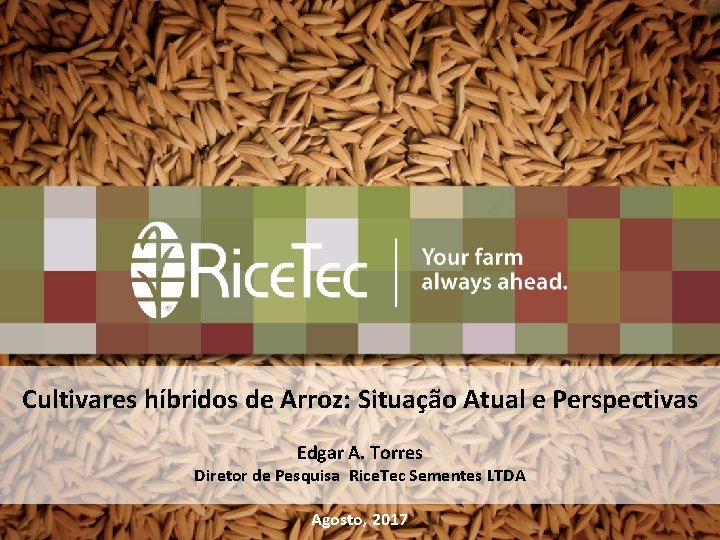 Cultivares híbridos de Arroz: Situação Atual e Perspectivas Edgar A. Torres Diretor de Pesquisa