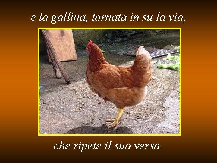 e la gallina, tornata in su la via, che ripete il suo verso. 