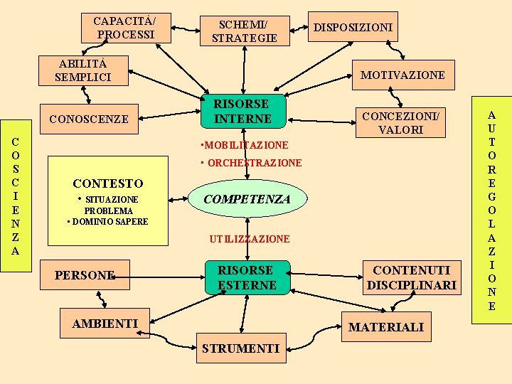 CAPACITÀ/ PROCESSI SCHEMI/ STRATEGIE ABILITÀ SEMPLICI CONOSCENZE C O S C I E N