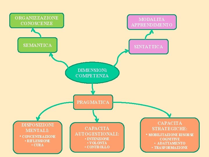 ORGANIZZAZIONE CONOSCENZE MODALITÀ APPRENDIMENTO SEMANTICA SINTATTICA DIMENSIONI COMPETENZA PRAGMATICA DISPOSIZIONI MENTALI: • CONCENTRAZIONE •