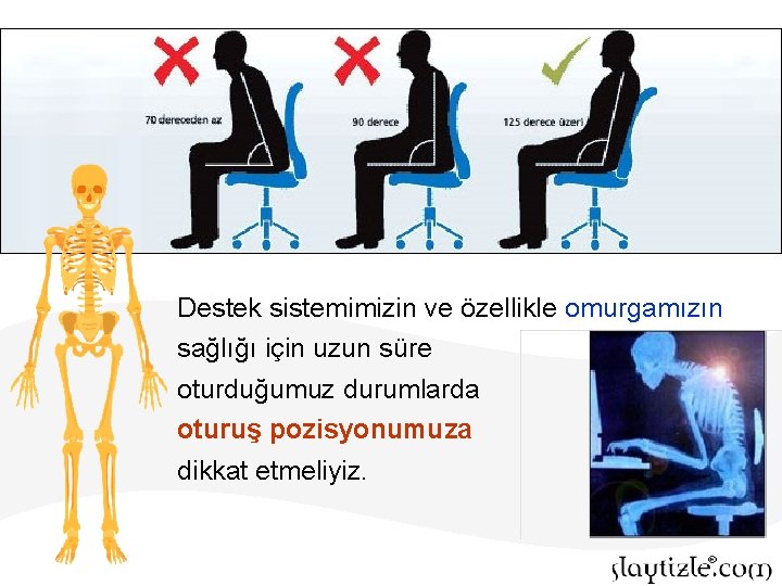 Destek sistemimizin ve özellikle omurgamızın sağlığı için uzun süre oturduğumuz durumlarda oturuş pozisyonumuza dikkat