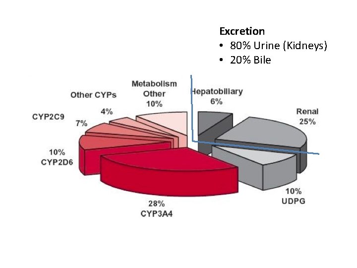 Excretion • 80% Urine (Kidneys) • 20% Bile 