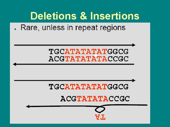 Deletions & Insertions 