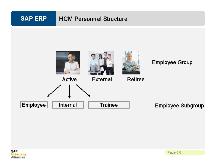 SAP ERP HCM Personnel Structure Employee Group Active Employee Internal External Trainee Retiree Employee