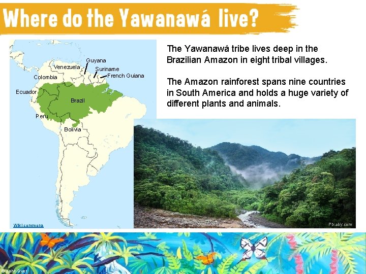 Camel Guyana Venezuela Colombia Ecuador Brazil Suriname French Guiana The Yawanawá tribe lives deep