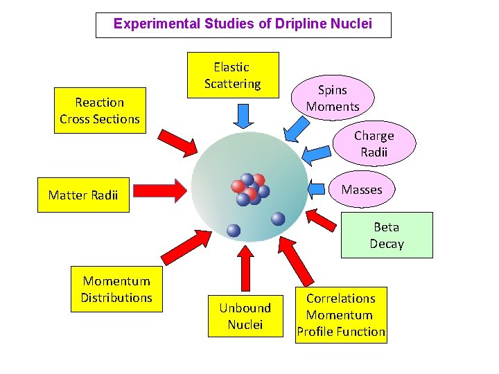 Experimental Studies of Dripline Nuclei Elastic Scattering Reaction Cross Sections Spins Moments Charge Radii Experimental Studies of Dripline Nuclei Elastic Scattering Reaction Cross Sections Spins Moments Charge Radii