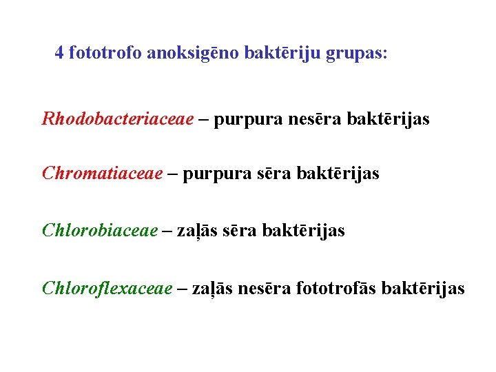 4 fototrofo anoksigēno baktēriju grupas: Rhodobacteriaceae – purpura nesēra baktērijas Chromatiaceae – purpura sēra