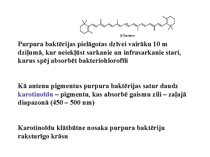 Purpura baktērijas pielāgotas dzīvei vairāku 10 m dziļumā, kur neiekļūst sarkanie un infrasarkanie stari, Purpura baktērijas pielāgotas dzīvei vairāku 10 m dziļumā, kur neiekļūst sarkanie un infrasarkanie stari,