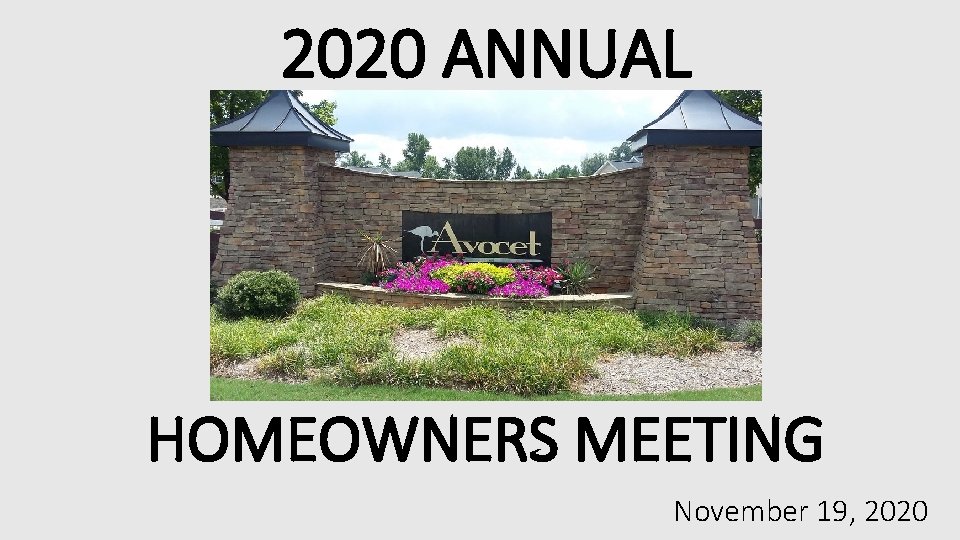 2020 ANNUAL HOMEOWNERS MEETING November 19, 2020 