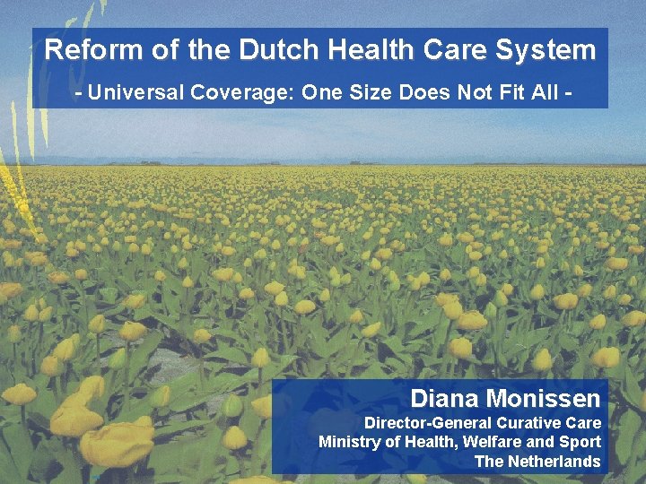 Reform of the Dutch Health Care System - Universal Coverage: One Size Does Not