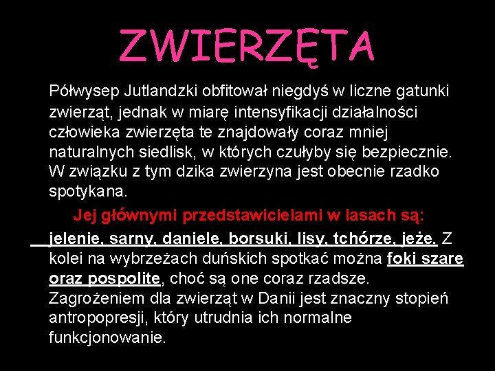 ZWIERZĘTA Półwysep Jutlandzki obfitował niegdyś w liczne gatunki zwierząt, jednak w miarę intensyfikacji działalności