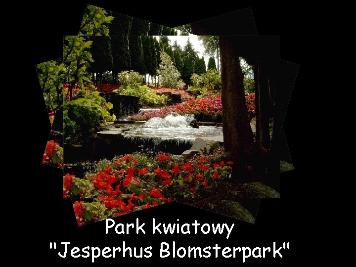 Park kwiatowy "Jesperhus Blomsterpark" 