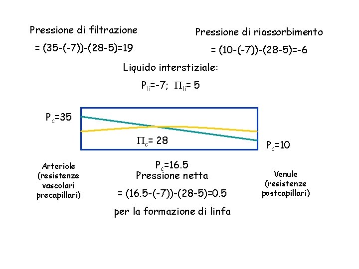 Pressione di filtrazione Pressione di riassorbimento = (35 -(-7))-(28 -5)=19 = (10 -(-7))-(28 -5)=-6