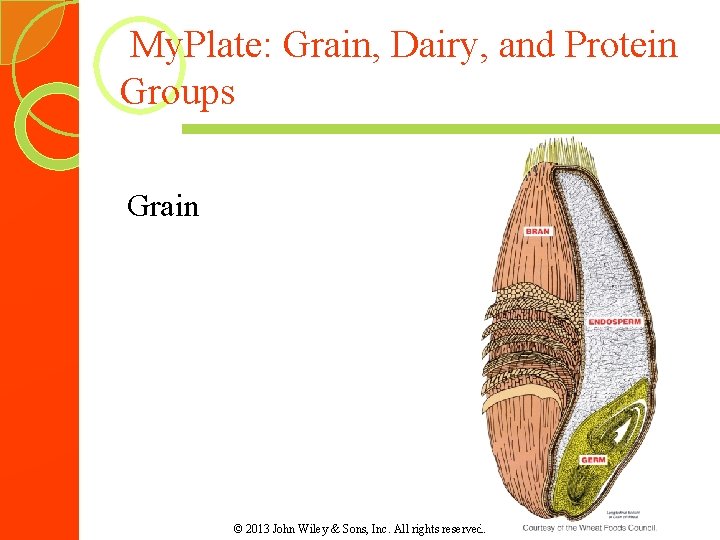 My. Plate: Grain, Dairy, and Protein Groups Grain © 2013 John Wiley & My. Plate: Grain, Dairy, and Protein Groups Grain © 2013 John Wiley &