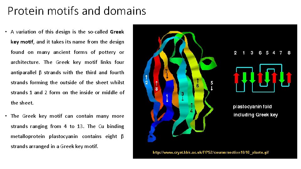 Protein motifs and domains • A variation of this design is the so-called Greek