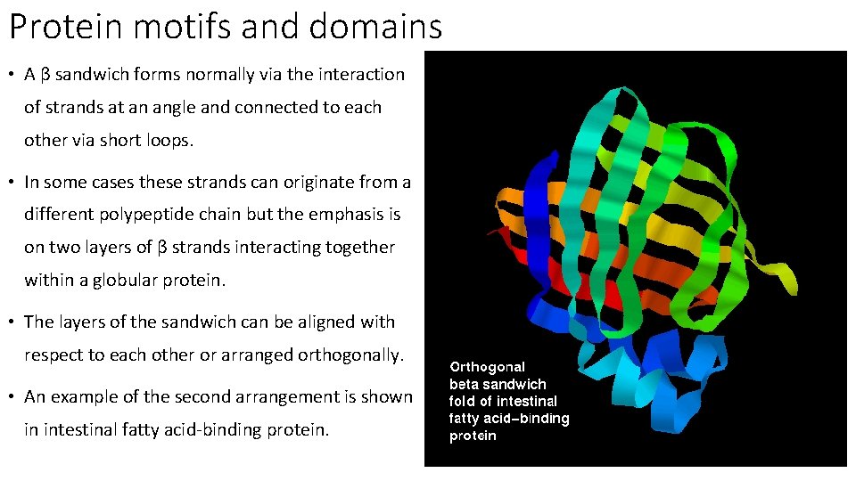 Protein motifs and domains • A β sandwich forms normally via the interaction of