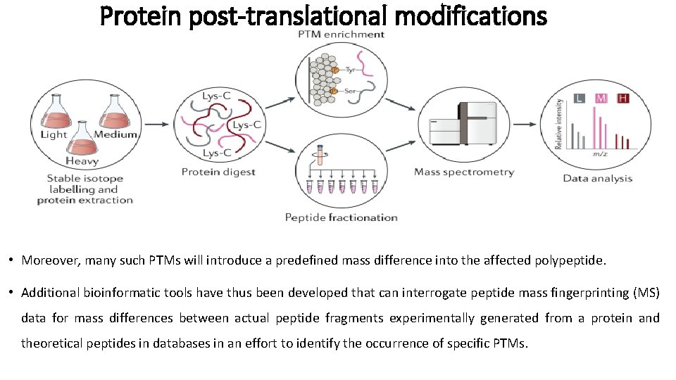 Protein post-translational modifications • Moreover, many such PTMs will introduce a predefined mass difference