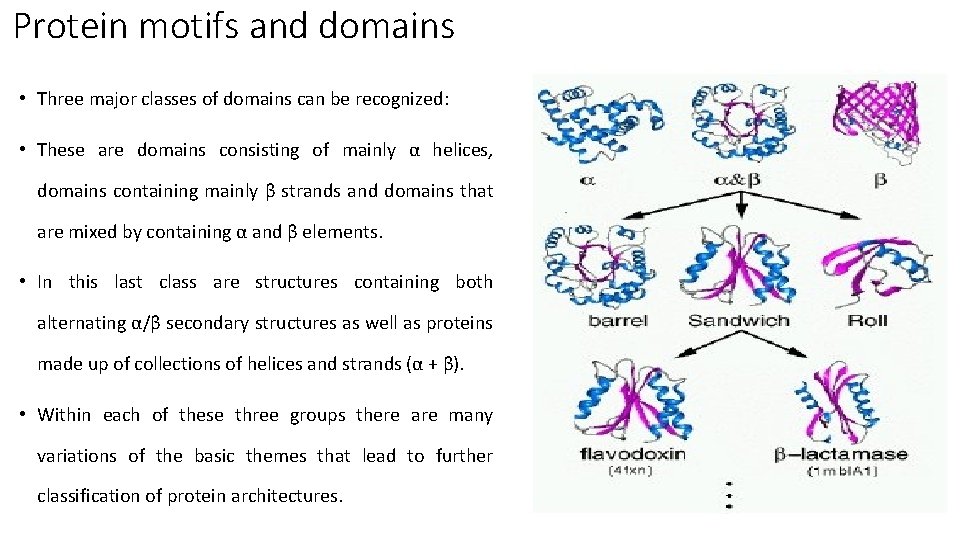 Protein motifs and domains • Three major classes of domains can be recognized: •