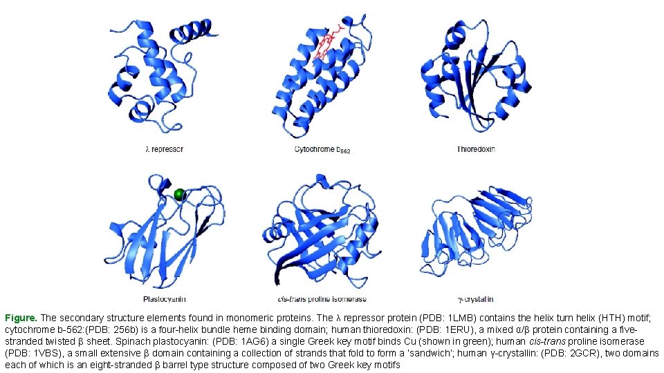 Figure. The secondary structure elements found in monomeric proteins. The λ repressor protein (PDB: