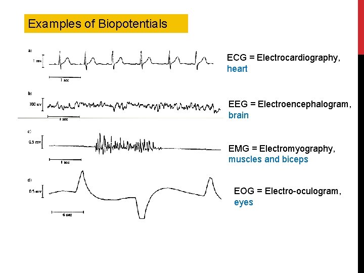 Examples of Biopotentials ECG = Electrocardiography, heart EEG = Electroencephalogram, brain EMG = Electromyography,