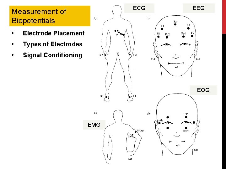 ECG Measurement of Biopotentials • Electrode Placement • Types of Electrodes • Signal Conditioning