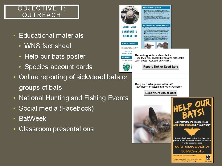 OBJECT IVE 1: OUTR EACH • Educational materials • WNS fact sheet • Help