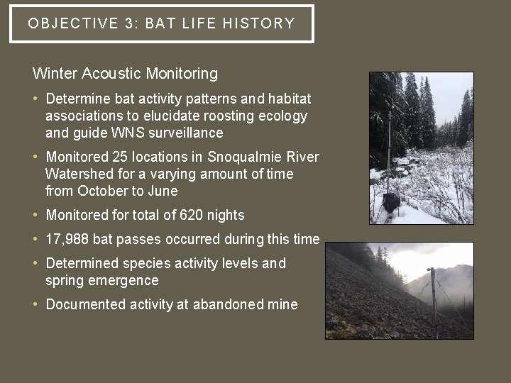 OBJECT IVE 3: BAT LIFE H IS TO RY Winter Acoustic Monitoring • Determine