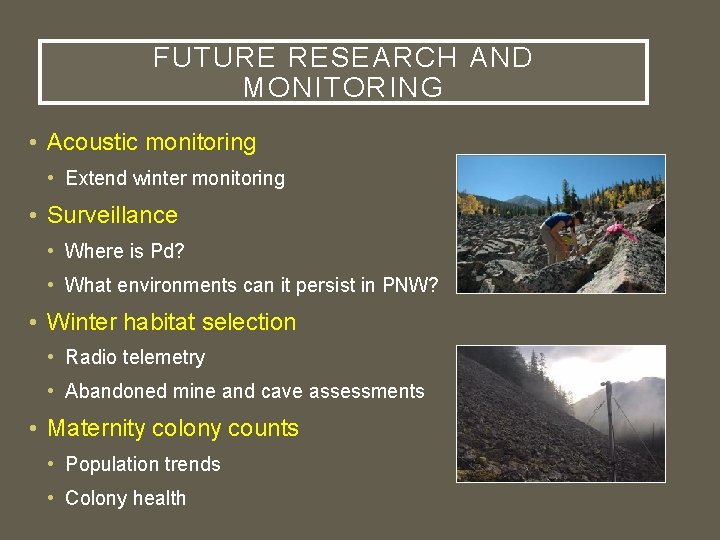 FUTURE RESEARCH AND MONITORING • Acoustic monitoring • Extend winter monitoring • Surveillance •