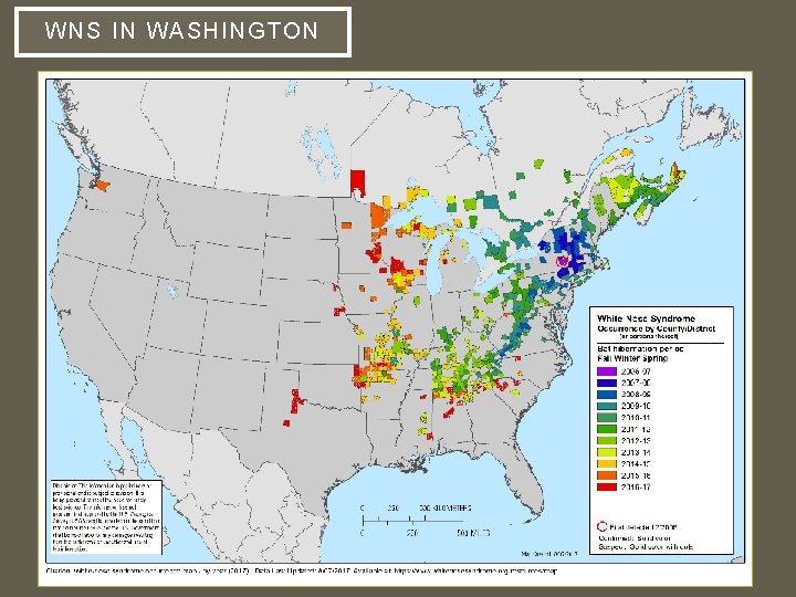 WNS IN WASHINGTON 