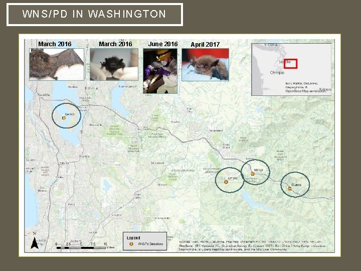 WNS/PD IN WASHINGT ON March 2016 June 2016 April 2017 