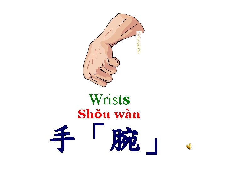 Wrists Shǒu wàn 手「腕」 