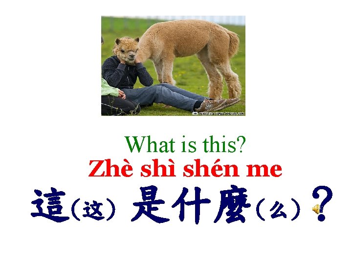 What is this? Zhè shì shén me 這(这) 是什麼(么)？ 