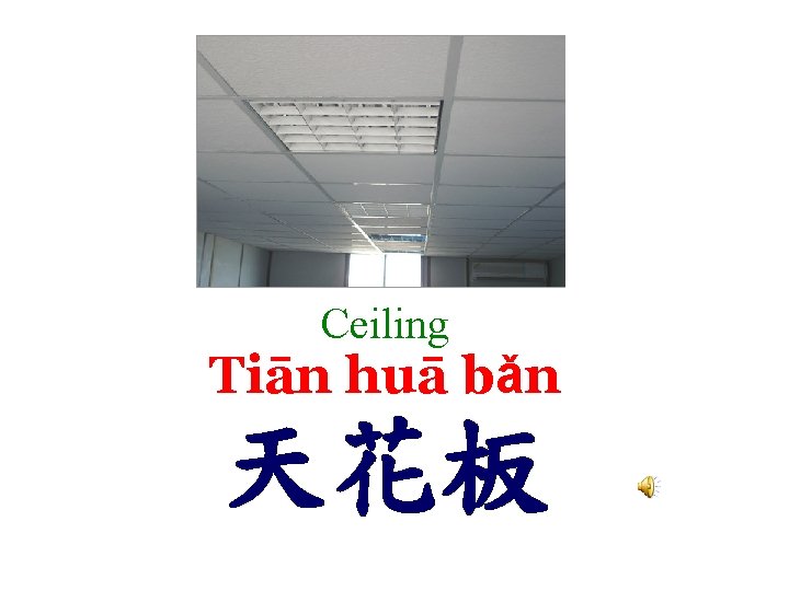Ceiling Tiān huā bǎn 天花板 
