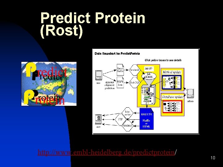 Predict Protein (Rost) http: //www. embl-heidelberg. de/predictprotein/ 10 