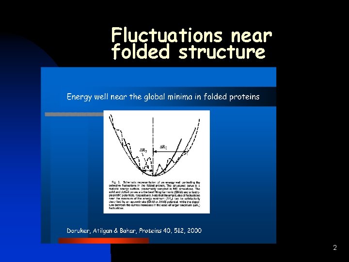 Fluctuations near folded structure 2 
