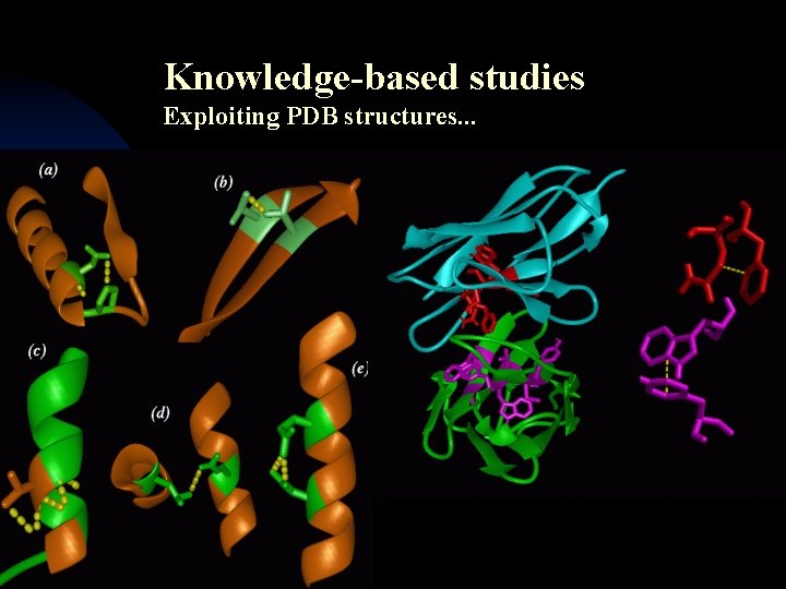 Knowledge-based studies Exploiting PDB structures. . . 
