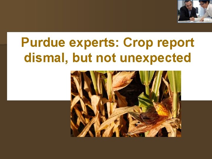  Purdue experts: Crop report dismal, but not unexpected 