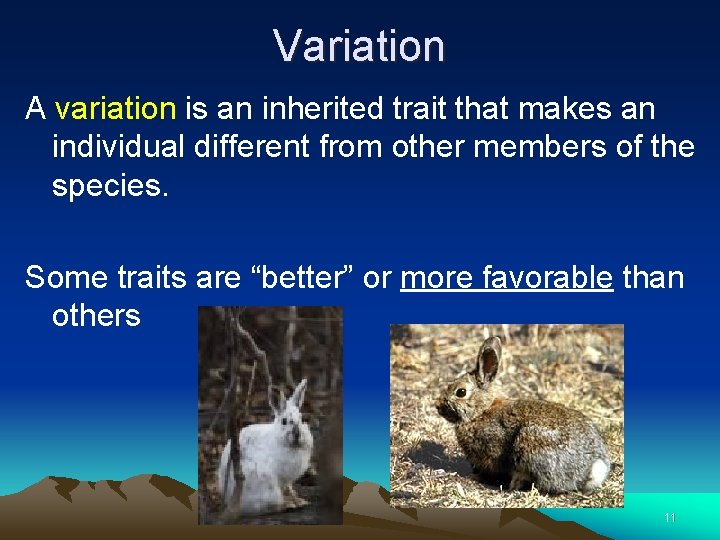 Variation A variation is an inherited trait that makes an individual different from other