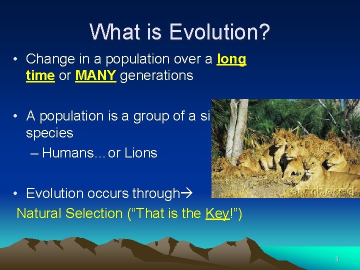 What is Evolution? • Change in a population over a long time or MANY