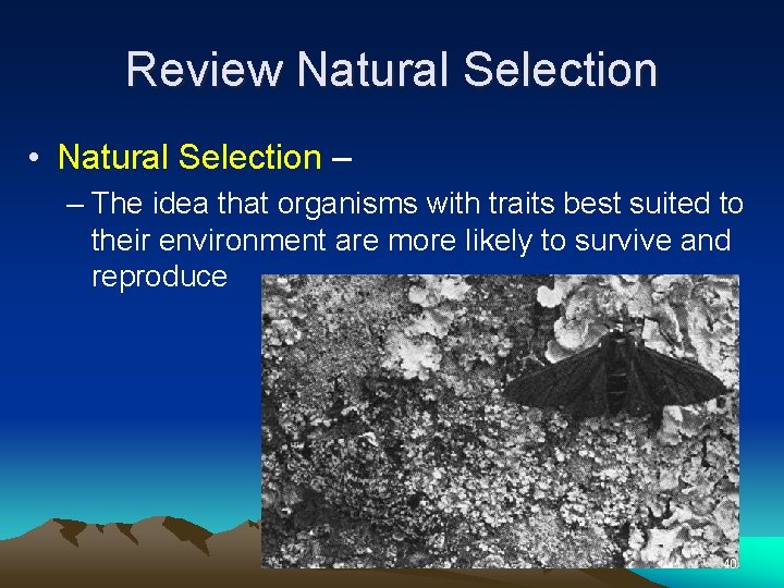 Review Natural Selection • Natural Selection – – The idea that organisms with traits