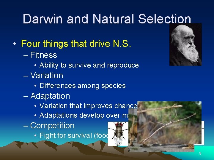 Darwin and Natural Selection • Four things that drive N. S. – Fitness •