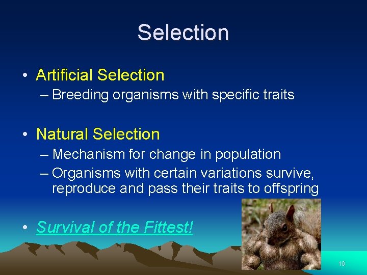 Selection • Artificial Selection – Breeding organisms with specific traits • Natural Selection –