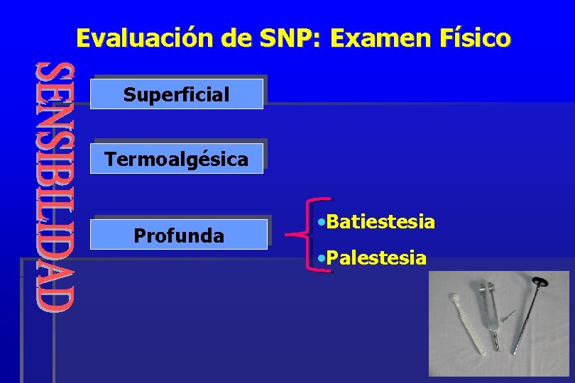 Evaluación de SNP: Examen Físico Superficial Termoalgésica Profunda • Batiestesia • Palestesia 