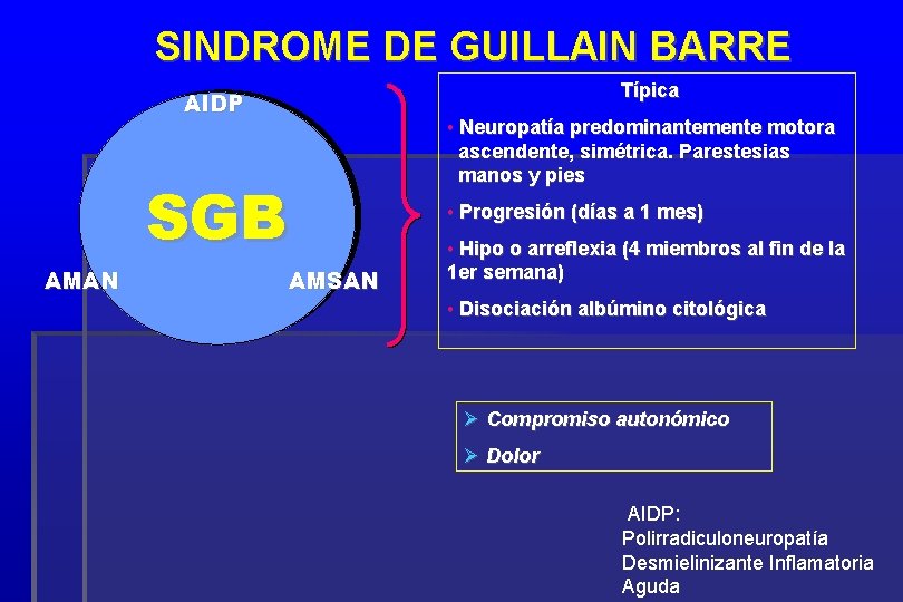 SINDROME DE GUILLAIN BARRE Típica AIDP SGB AMAN AMSAN • Neuropatía predominantemente motora ascendente,