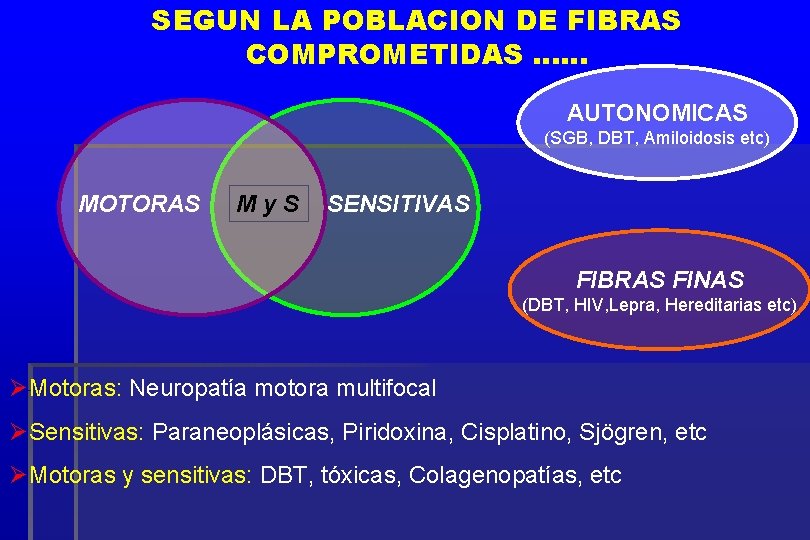 SEGUN LA POBLACION DE FIBRAS COMPROMETIDAS …… AUTONOMICAS (SGB, DBT, Amiloidosis etc) MOTORAS My.