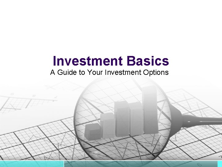 Investment Basics A Guide to Your Investment Options 