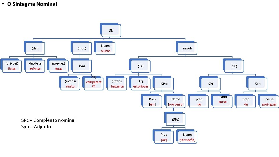  • O Sintagma Nominal SN (det) (pré-det) Estas det-base minhas (mod) (pós-det) duas