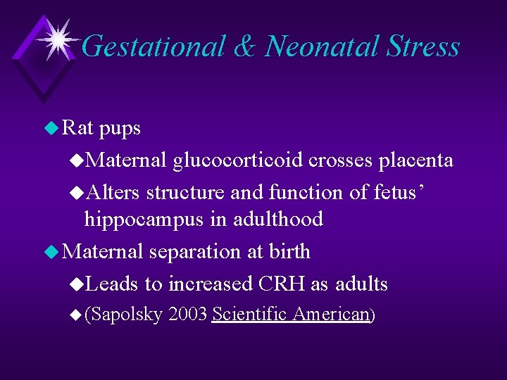 Gestational & Neonatal Stress u Rat pups u. Maternal glucocorticoid crosses placenta u. Alters