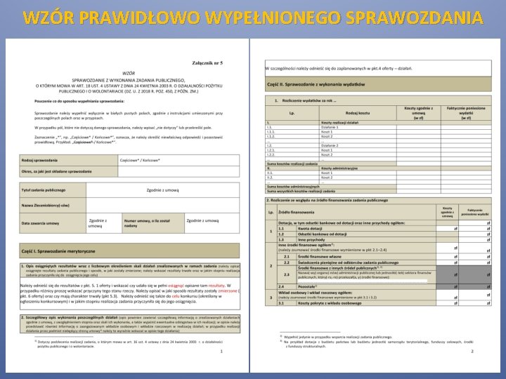 WZÓR PRAWIDŁOWO WYPEŁNIONEGO SPRAWOZDANIA WZÓR PRAWIDŁOWO WYPEŁNIONEGO SPRAWOZDANIA